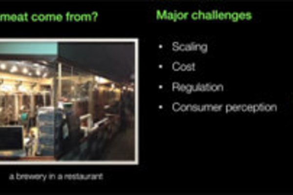 Thịt làm từ máy in 3D