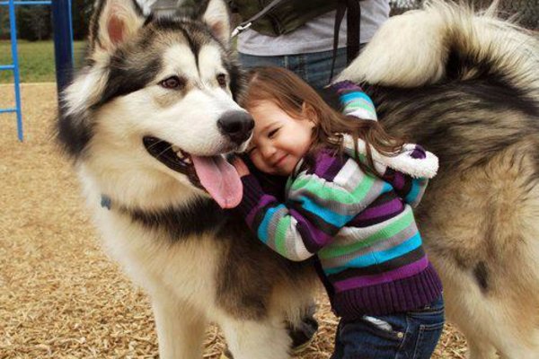 Con người và con vật