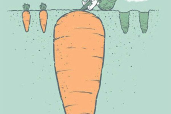 Loạt ảnh về bản chất cuộc sống khiến bạn suy ngẫm