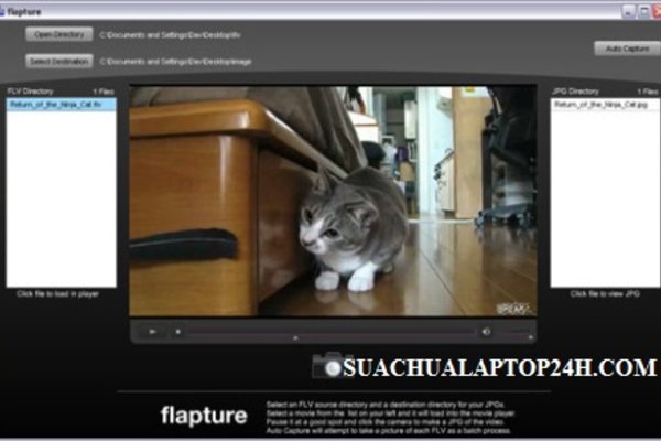 Flapture - Phần mềm chụp hình ảnh từ Video
