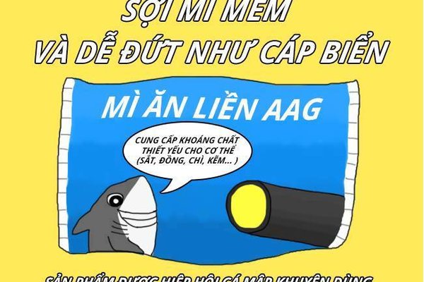 Cáp quang biển AAG lại bị đứt