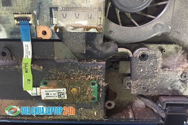 10 Lý do cần phải vệ sinh, bảo dưỡng Laptop ngay
