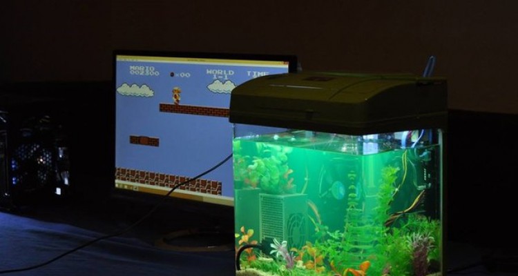 Cùng ngắm bộ sưu tập vỏ máy tính đẹp và đẳng cấp của dân kĩ thuật