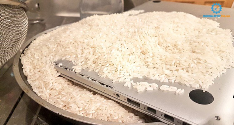 Khi bị rơi vào nước, có nên bỏ laptop hoặc smartphone vào gạo không?