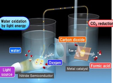 Hệ thống quang hợp nhân tạo không thua kém cây xanh
