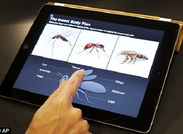 Microsoft trở thành hãng phần cứng