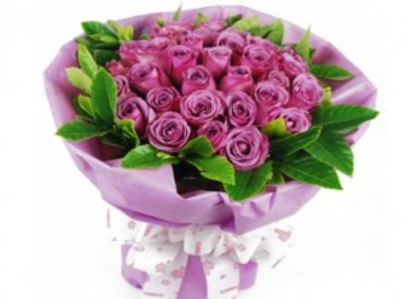 Chúc mừng ngày Quốc tế Phụ nữ 8/3