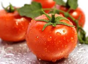 Triết Lý Cà Chua