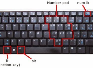 Bàn phím laptop bị lỗi đánh chữ lại ra số