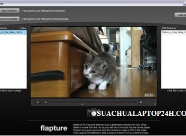 Flapture - Phần mềm chụp hình ảnh từ Video