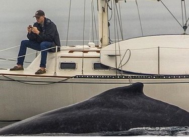 Bỏ lỡ khoảnh khắc cuộc đời vì mải mê điện thoại