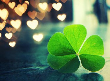 Hãy sống như bạn cảm thấy đúng đắn