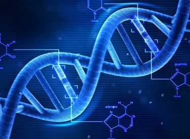 Apple muốn nghiên cứu về ADN