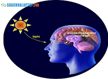 Những tác hại khủng khiếp từ việc thức khuya