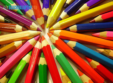 7 bài học không thể bỏ qua từ cây bút chì