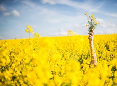 10 bài học cuộc sống nhận ra khi đã quá muộn