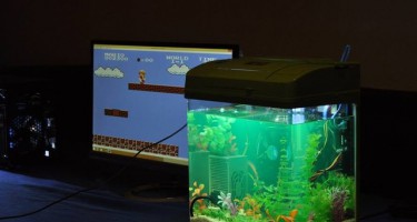 Cùng ngắm bộ sưu tập vỏ máy tính đẹp và đẳng cấp của dân kĩ thuật