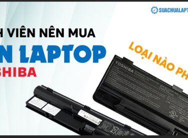 Là sinh viên mua pin laptop Toshiba loại nào phù hợp?