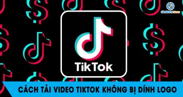 Cách tải video TikTok không bị dính logo