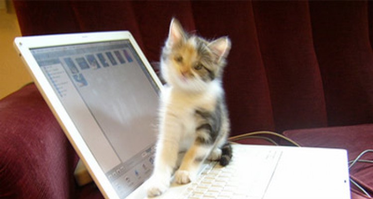 Một số cách để chiếc laptop bị hỏng màn hình nhanh chóng