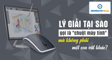 Lý giải tại sao gọi là “chuột máy tính” mà không phải một con vật khác?