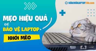 Một vài mẹo hiệu quả để bảo vệ laptop khỏi mèo
