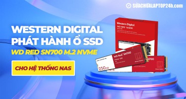 Western Digital phát hành SSD WD Red SN700 M.2 NVMe cho máy chủ NAS