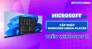 Hướng dẫn cài đặt Windows Media Player trên Windows 11