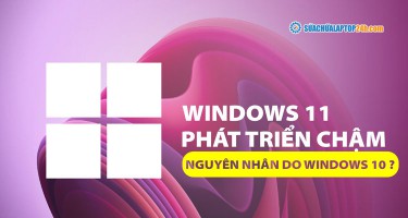Windows 11 phát triển chậm - Nguyên nhân do Windows 10?