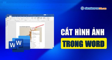 Hướng dẫn cắt hình ảnh trong Word mọi phiên bản
