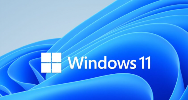 Windows 11 chiếm gần 1/4 lượng máy tính Windows hiện nay