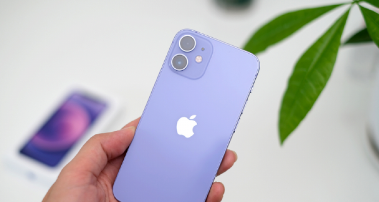 Pháp cấm bán iPhone 12 do bức xạ quá cao