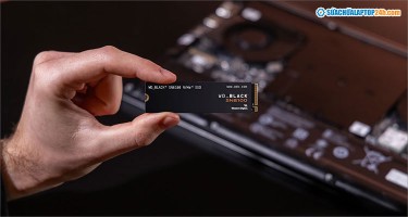 WD Black SN8100: “Quái vật tốc độ” mới của làng SSD?