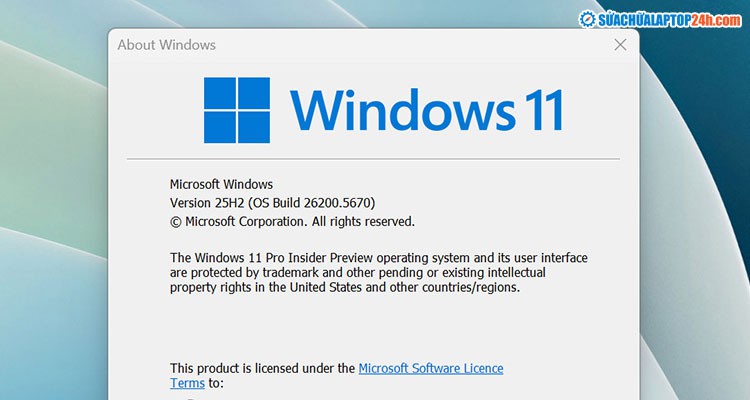 Windows 11 25H2, 24H2: Máy chủ nhanh hơn 80% laptop lại lag