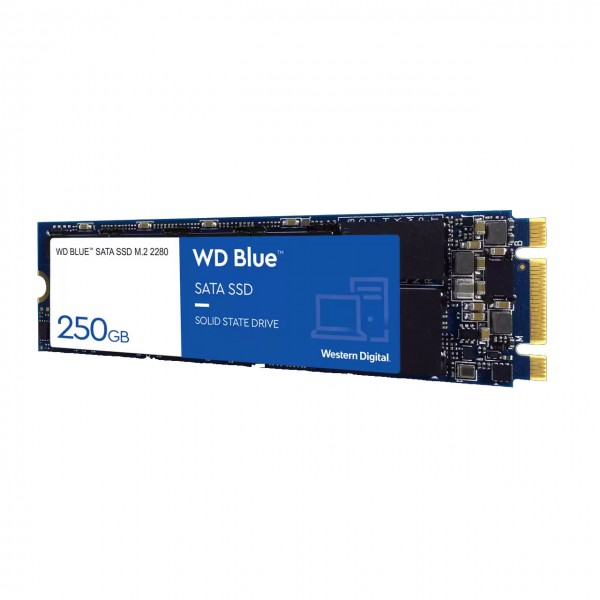 Ổ cứng SSD M2-SATA 250GB Western Digital WD Blue 2280