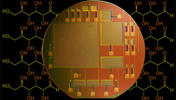 buoc-dau-nghien-cuu-duoc-phuong-phap-lay-dien-tu-nao-nguoi