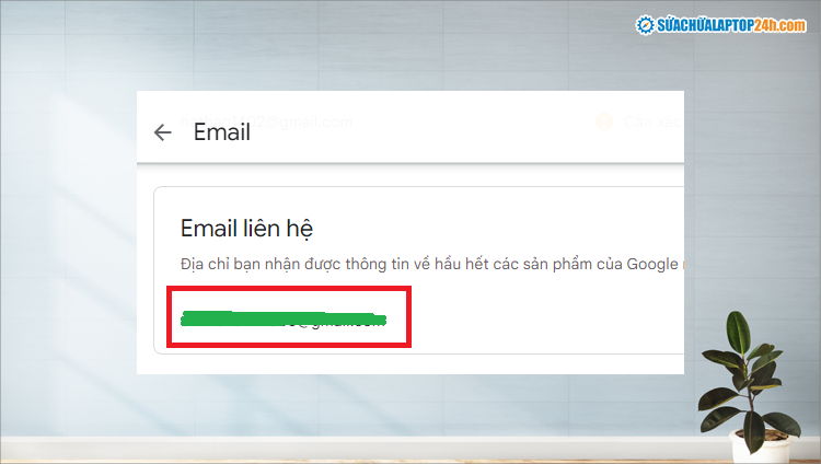 Nhấn vào mail ở phần Email liên hệ