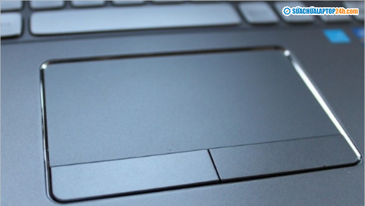 Lỗi Windows hoặc virus có thể khiến chuột laptop bị đơ