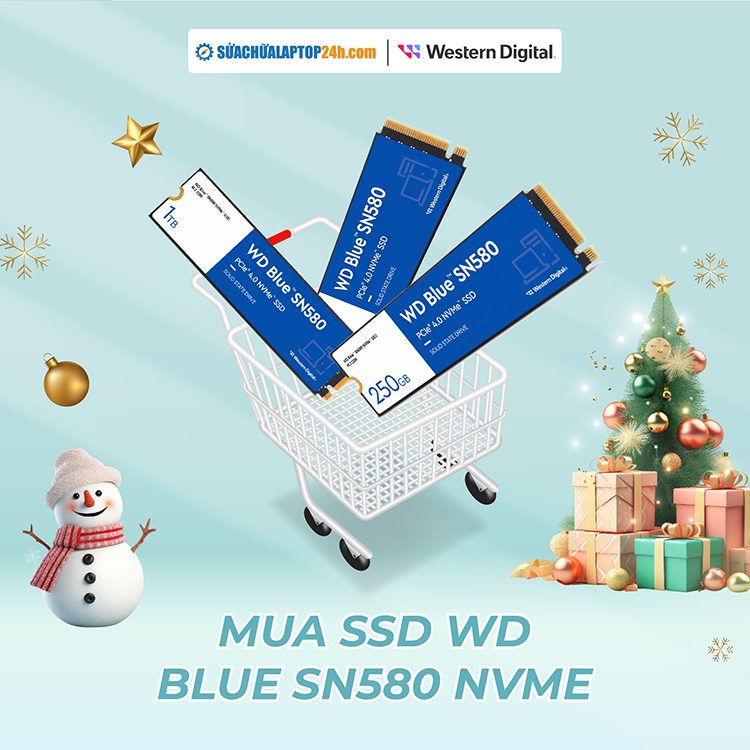 Mua ngay SSD WD Blue SN580 NVMe