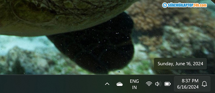 Biểu tượng chuông thông báo nằm ở góc phải thanh Taskbar