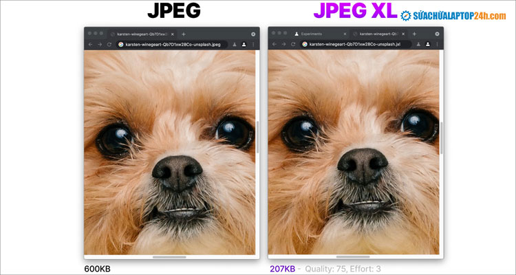 Định dạng JPEG XL giúp giảm dung lượng đáng kể mà không thay đổi chất lượng ảnh