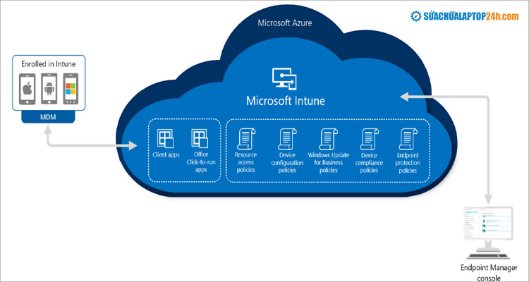 Lỗi Microsoft Intune khiến máy tính vẫn lên Windows 11 dù đã chặn