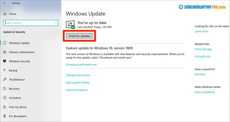Nhấn chọn Check for updates như hình
