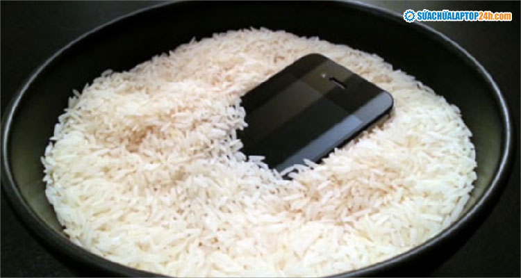 Có nên bỏ điện thoại vào thùng gạo khi bị dính nước không?