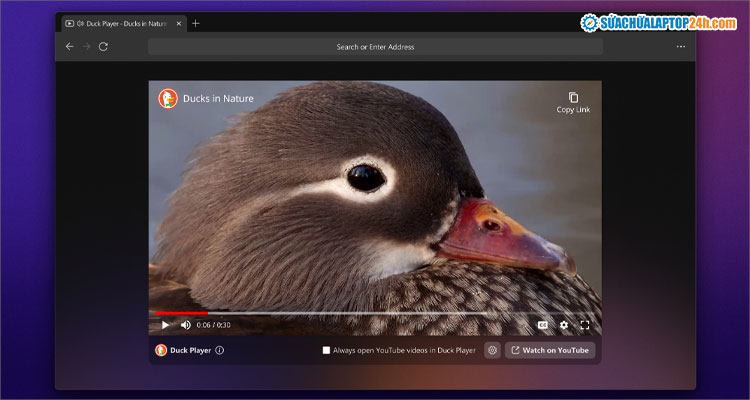 Giao diện Duckduckgo Beta