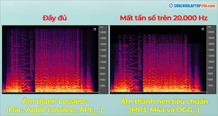 Nén âm thanh Lossless và tiêu chuẩn