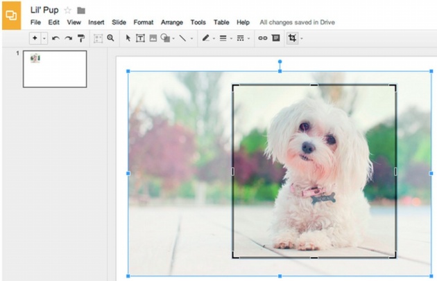 8 mẹo trong Google Drive có thể bạn chưa biết 8 mẹo trong Google Drive có thể bạn chưa biết