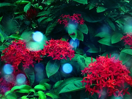 8 BÍ QUYẾT CHỤP ẢNH TUYỆT ĐẸP TRÊN SMARTPHONE 